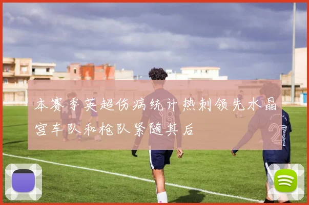 本赛季英超伤病统计热刺领先水晶宫车队和枪队紧随其后